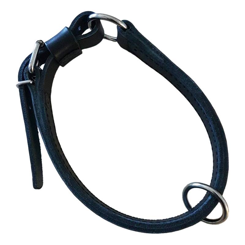 Collier Canins Deux Anneaux Scorpion