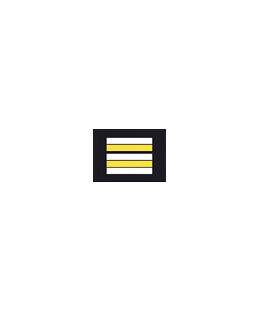 Grade Police & Gendarmerie