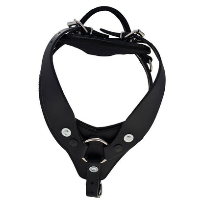 Harnais de Travail Petit Plastron Scorpion