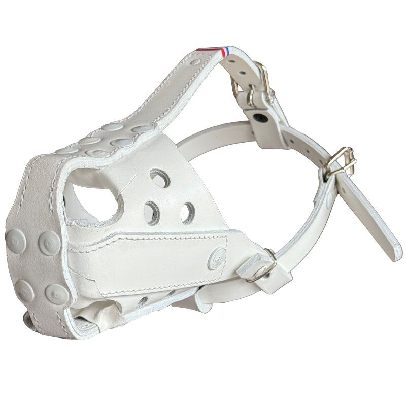 Muselière de Frappe Cabine Nez Protégé Scorpion Blanche – Cérémonie